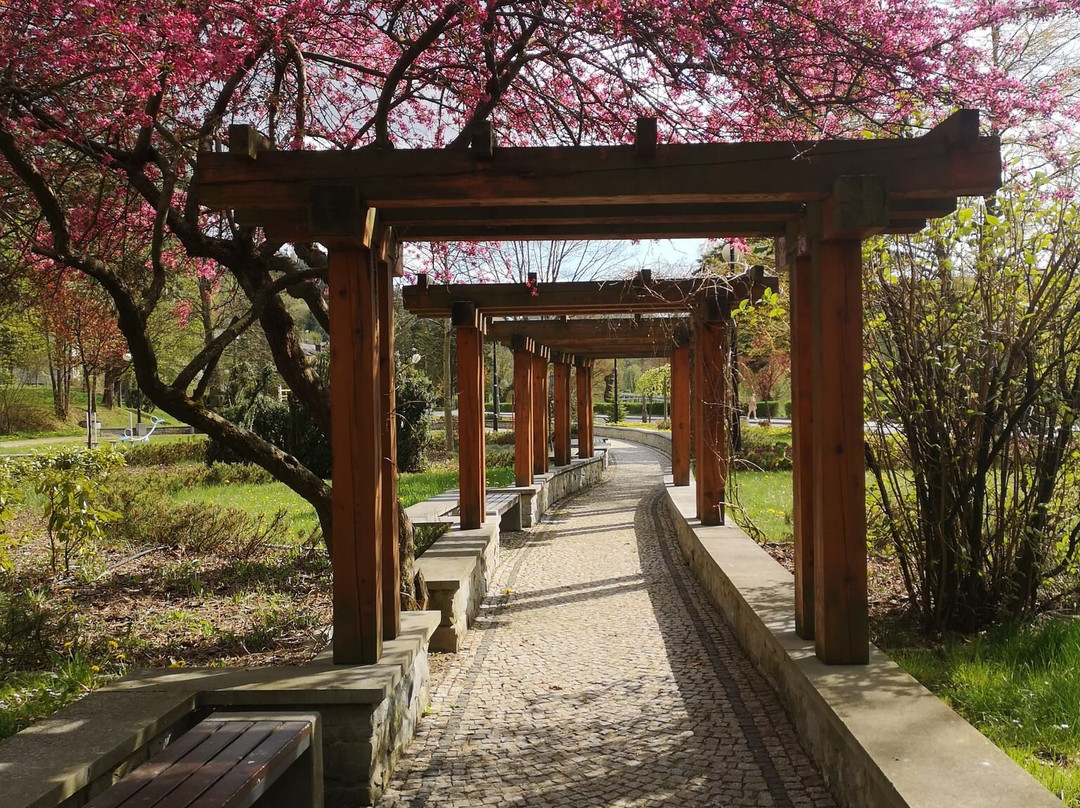 Park Zdrojowy-Piwniczna必去景点