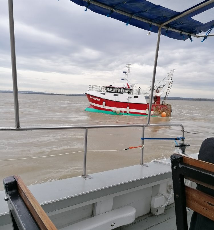 Promenade en Bateau Honfleur景点图片