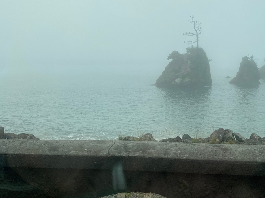 Oswald West State Park-坎农比奇必去景点