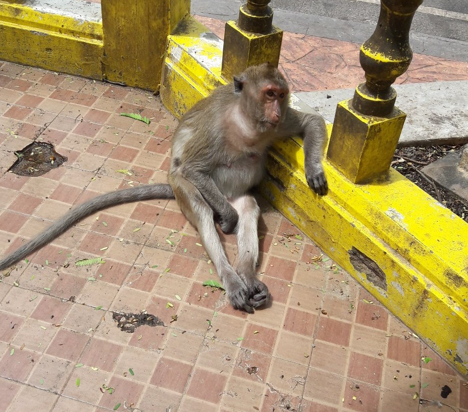 Khao Chong Krachok Temple景点图片