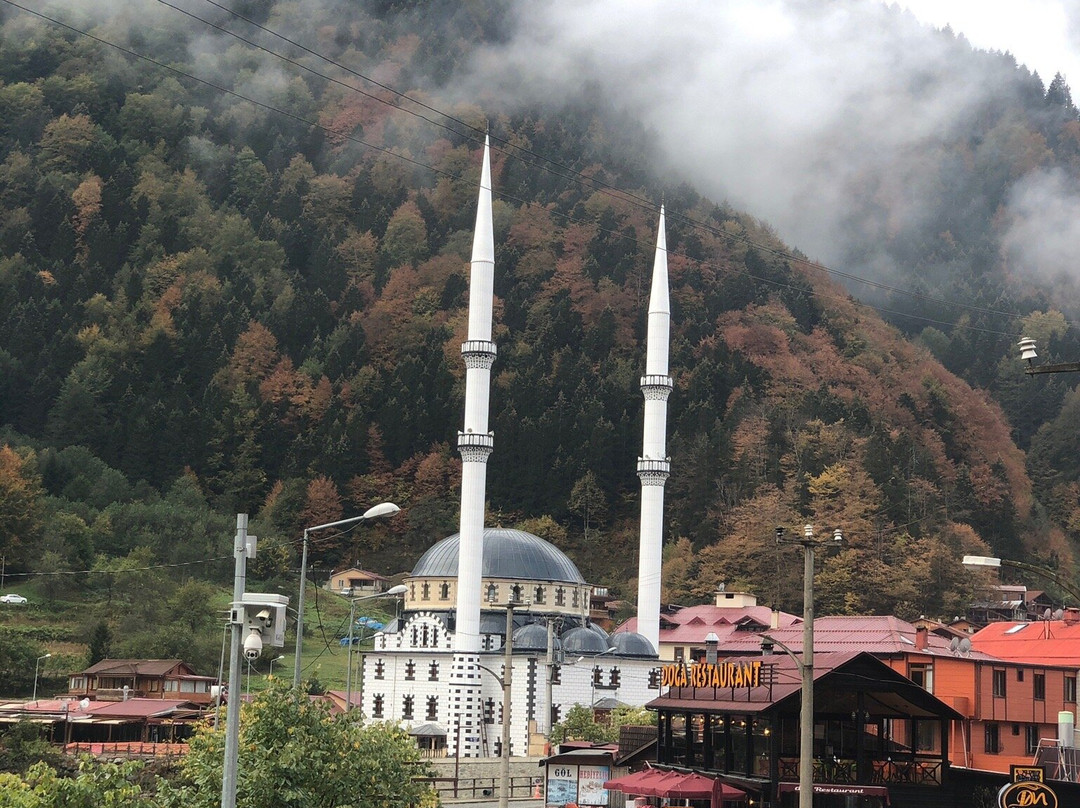 Sarikaya Yaylasi景点图片