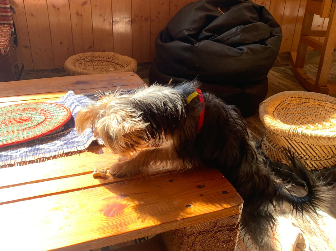 The Press House BnB主图