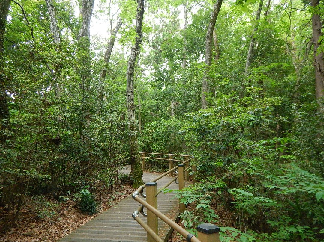Zama Yatoyama Park-座间市必去景点