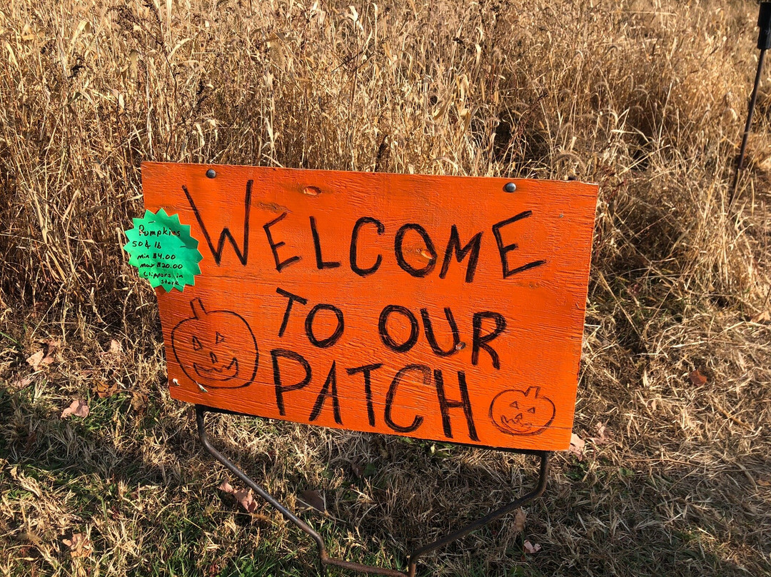 Collegeville Orchards景点图片