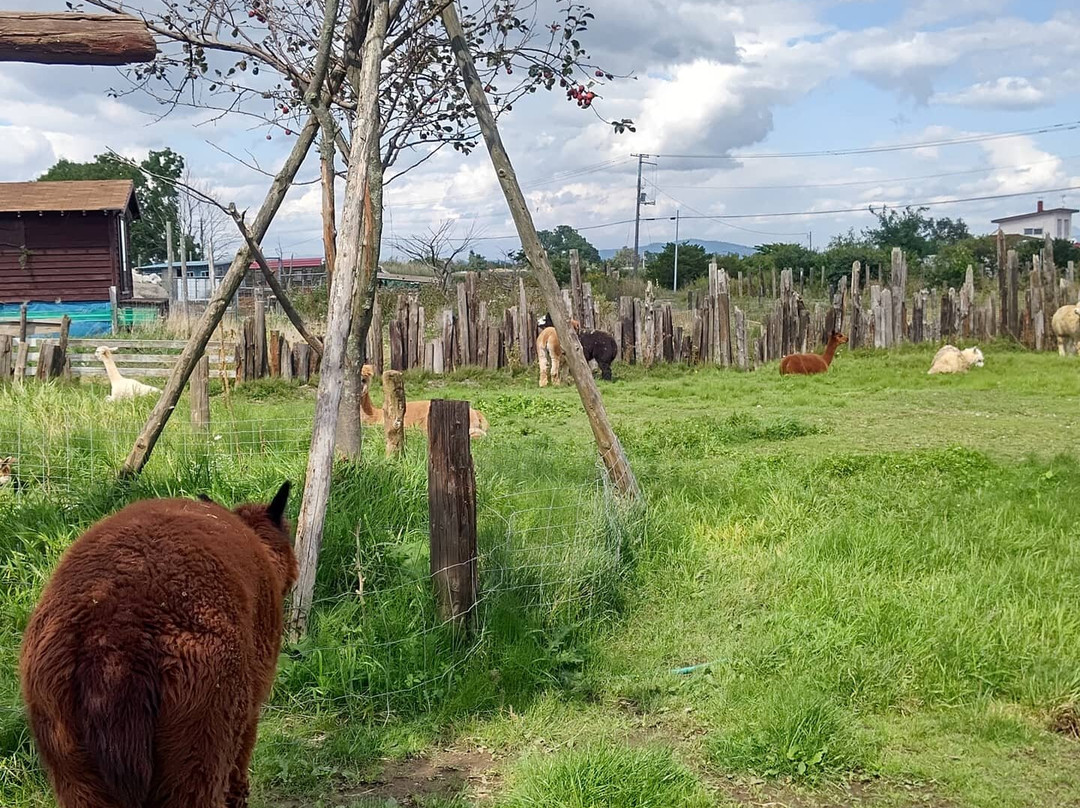Earth Dream Kakuyama Farm