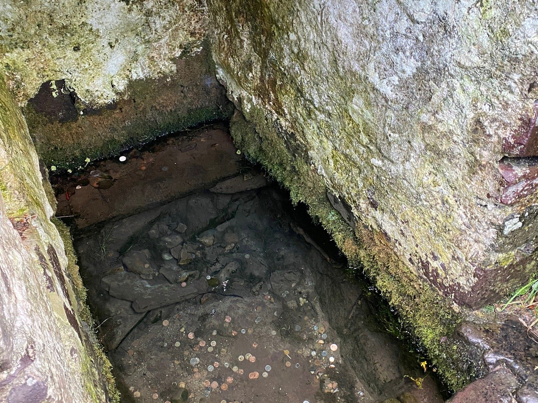 St Non's Chapel and Holy Well-St. Davids必去景点