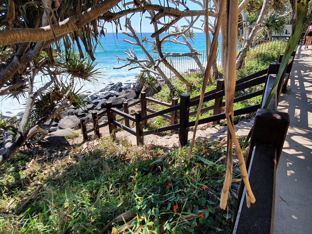 Burleigh Headland Ocean View Track