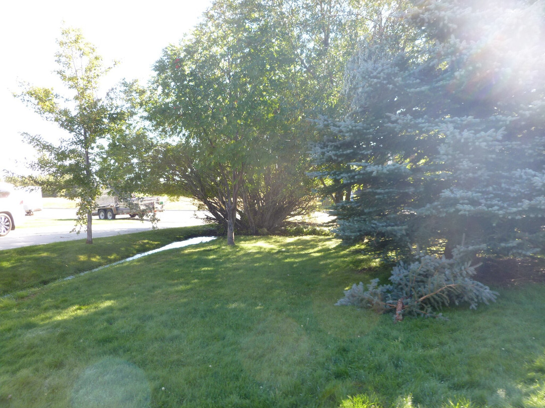 Aspen Townhomes主图