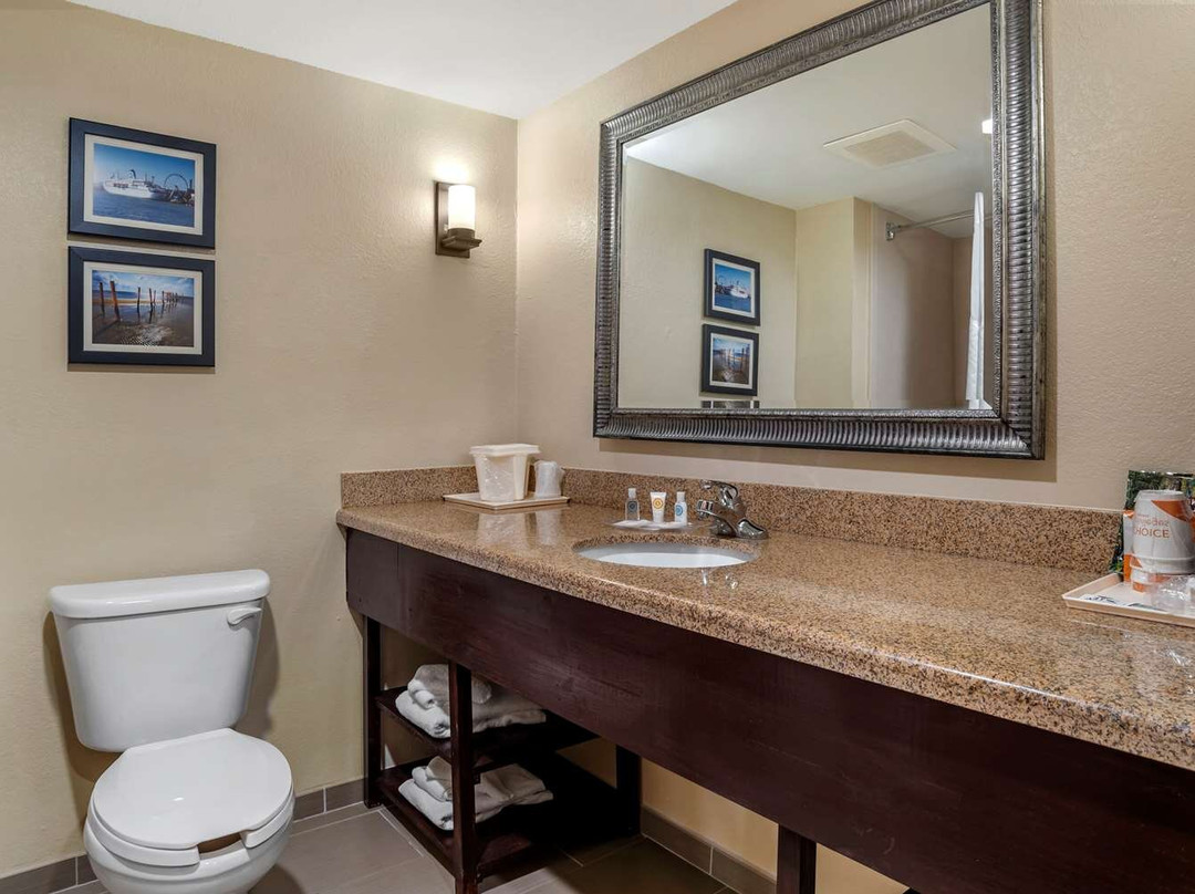 Comfort Suites主图