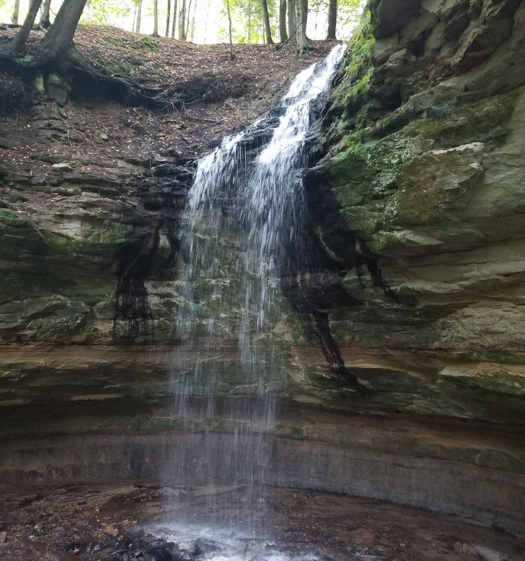 Tannery Falls-缪尼辛必去景点