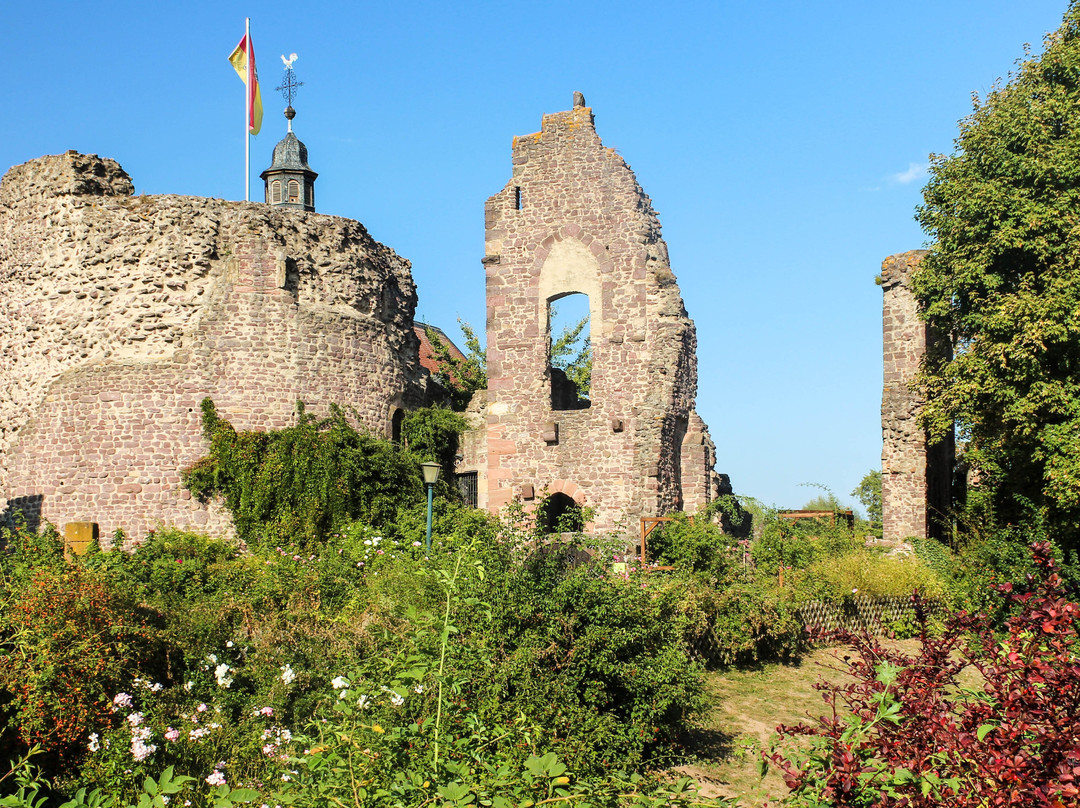 Burg Hayn景点图片