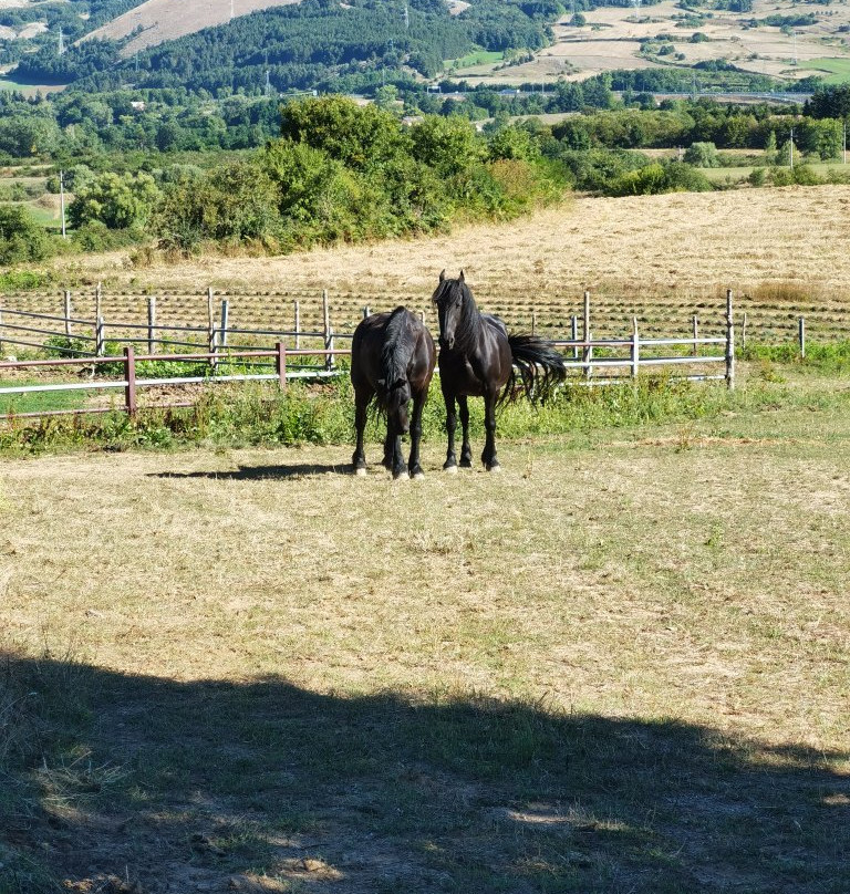 Green House B&B主图