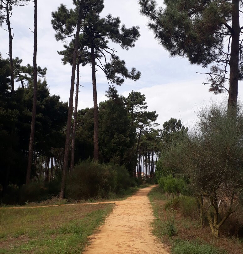 Parque Ambiental do Buçaquinho景点图片