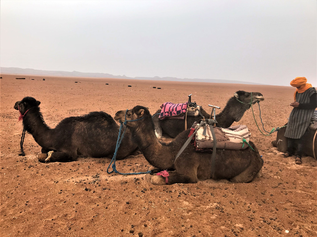 Légendes Berbères-Tagounite必去景点