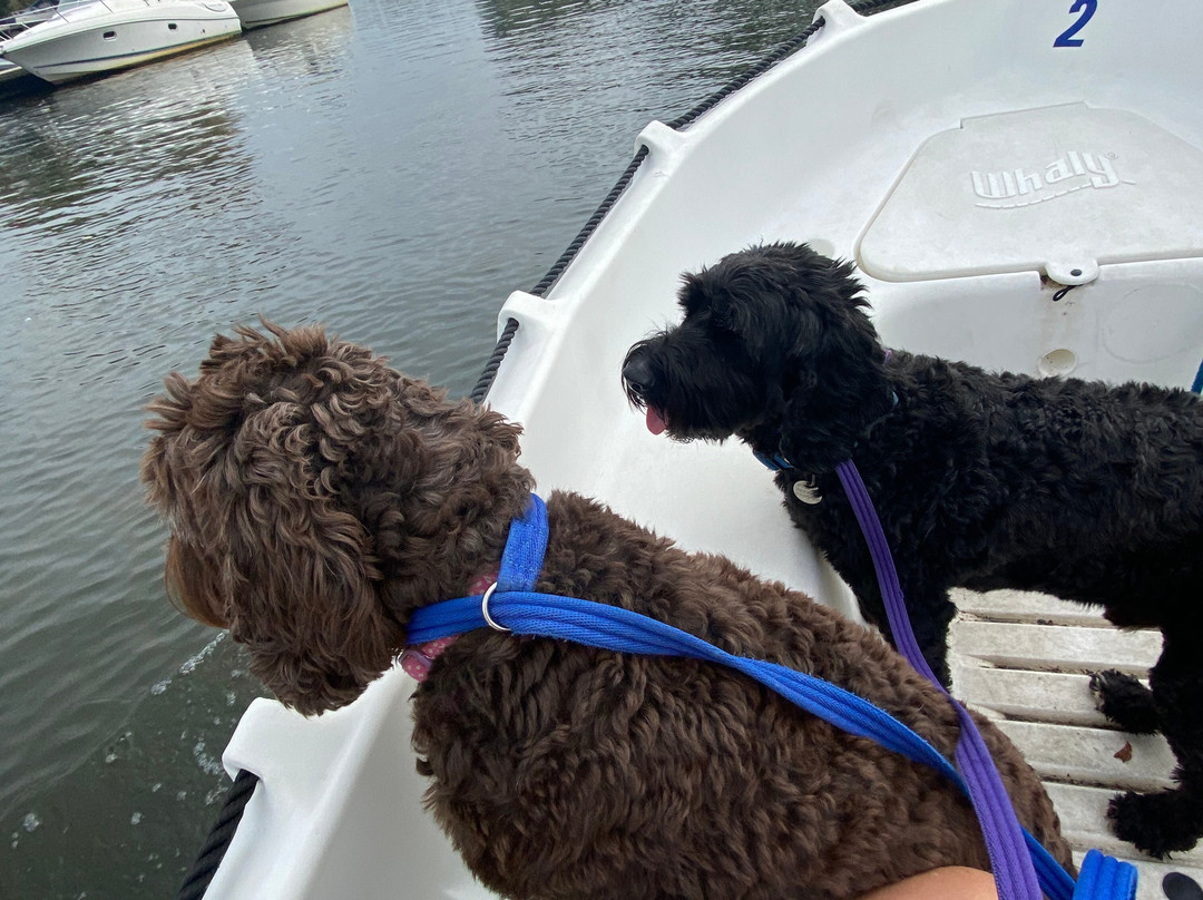 Quay Leisure Boat Hire-基督城必去景点