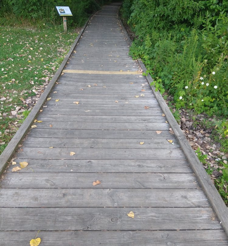 Sofios Park-Norwalk必去景点