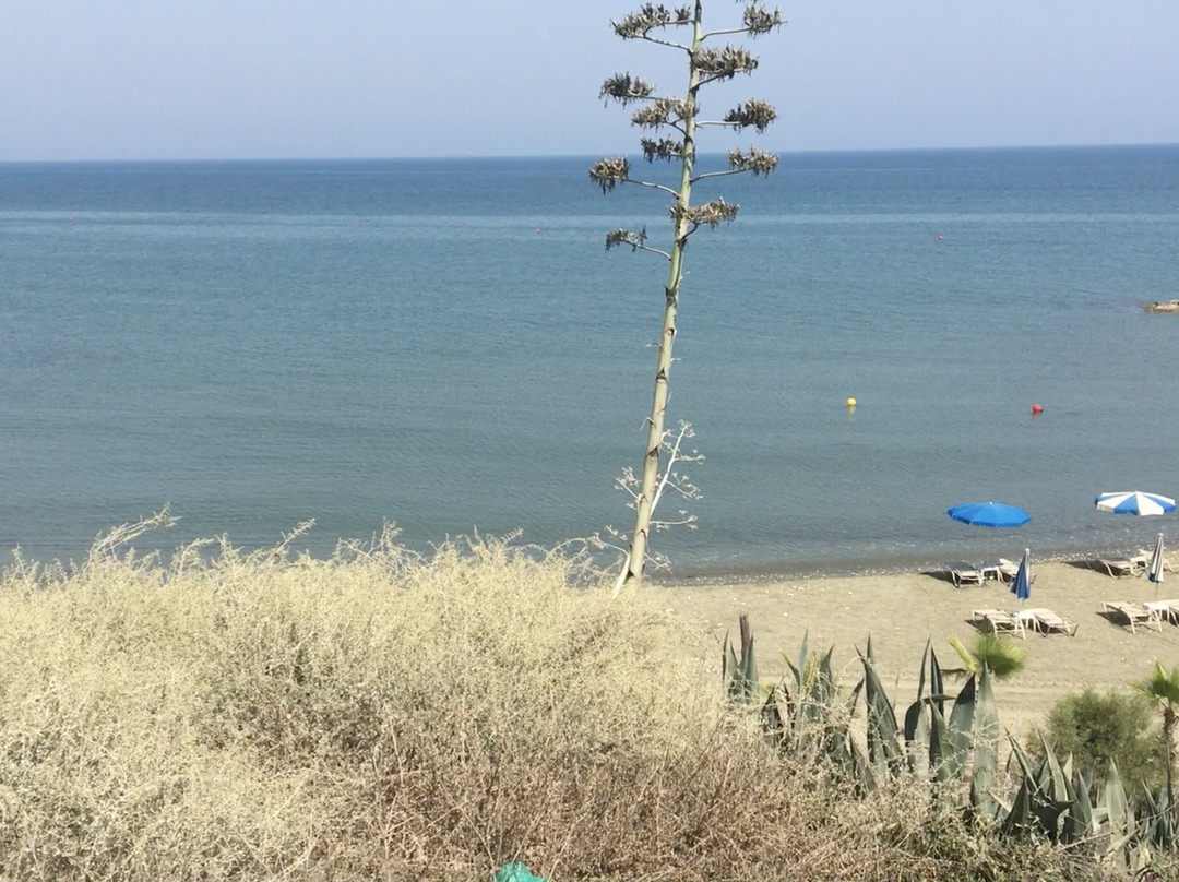 Faros Beach-Pervolia必去景点