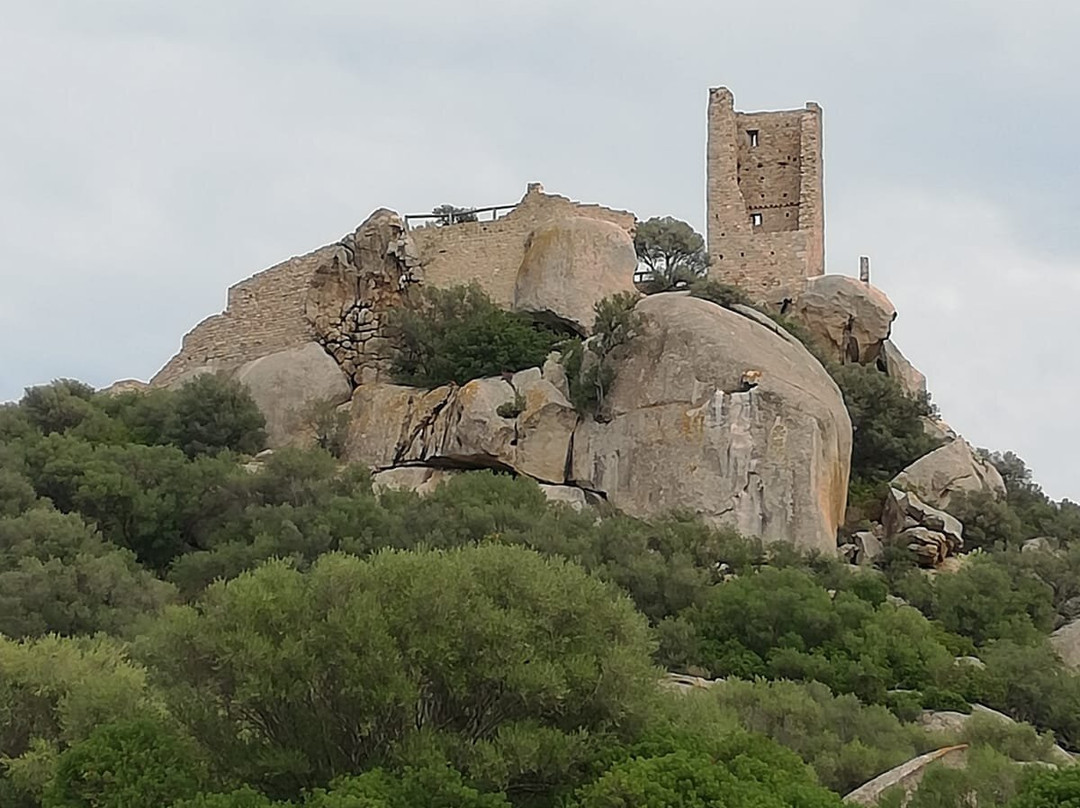 Castello di Pedres景点图片