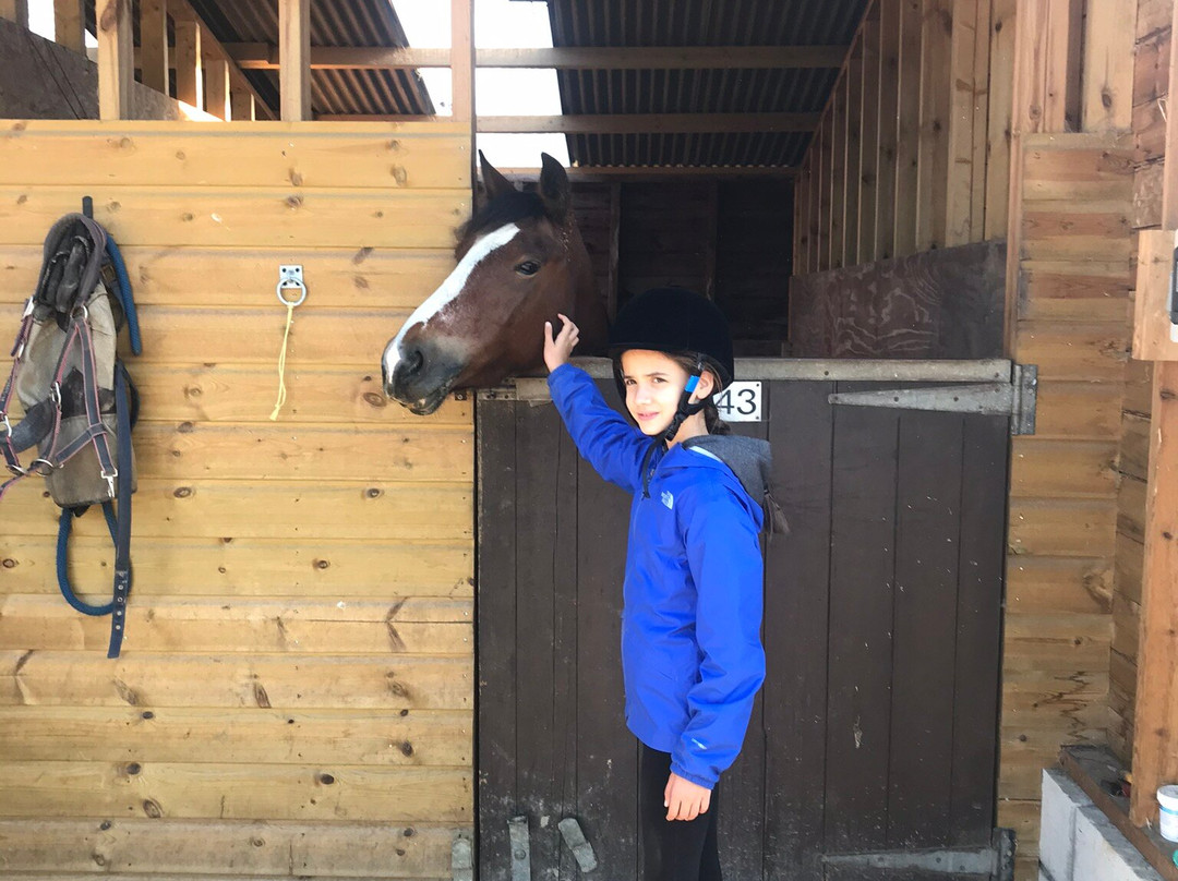 Garlands Farm Trekking and Horse Riding Centre-Highampton必去景点