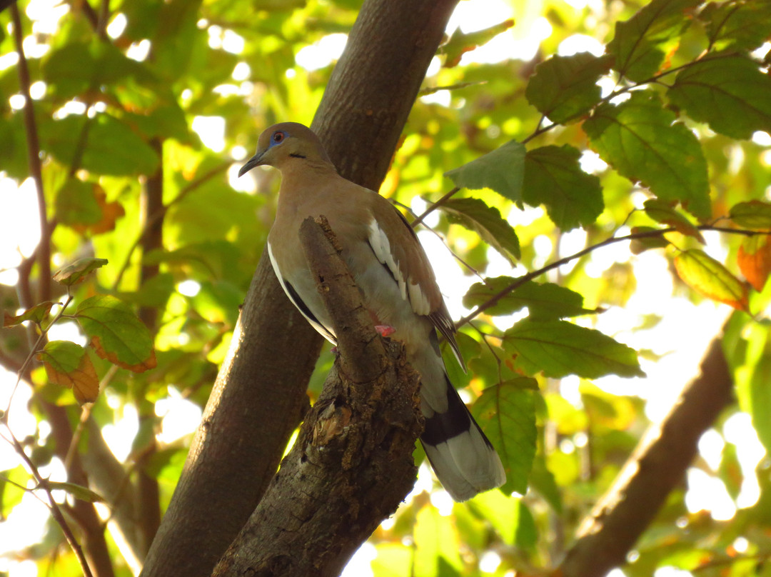 Hotel el Greco主图