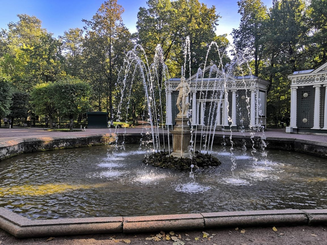 Nizhniy Park景点图片