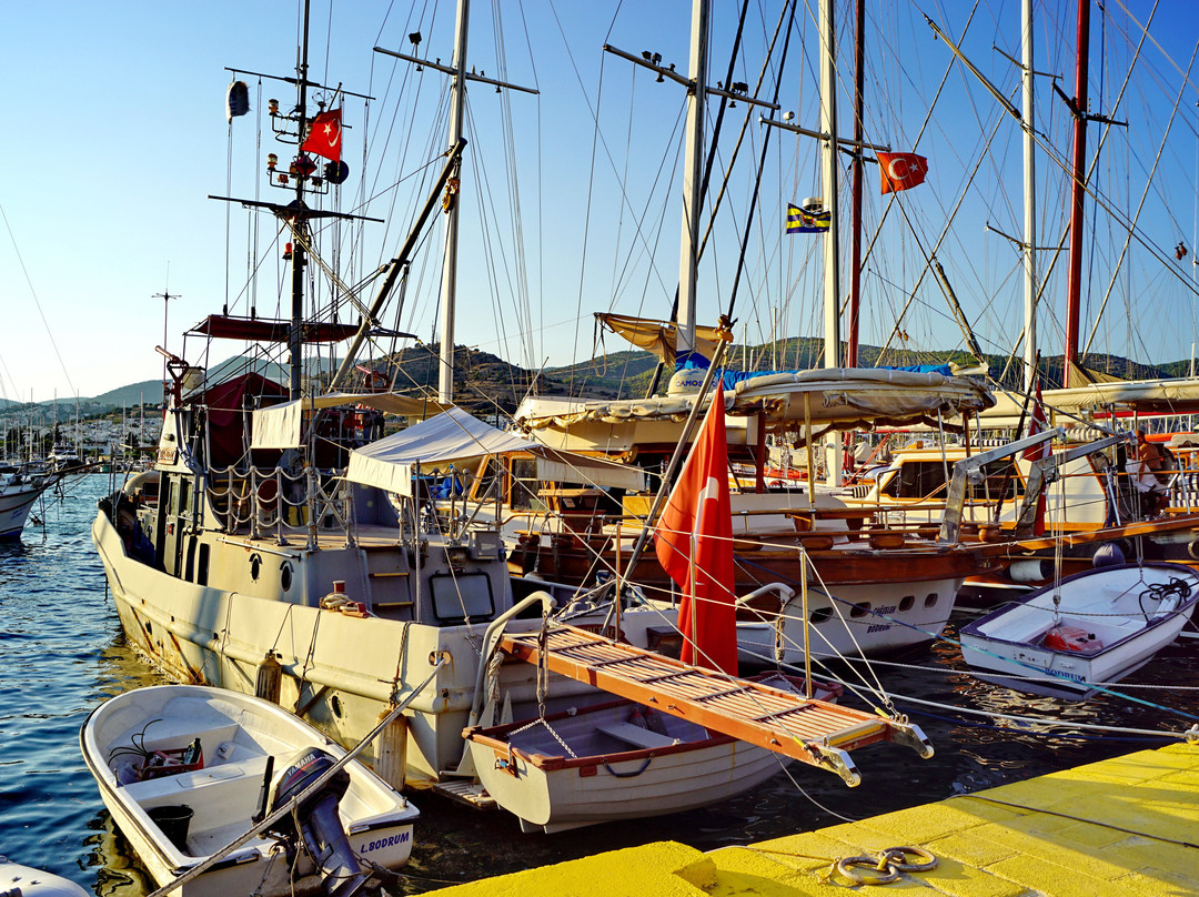 Milta Bodrum Marina景点图片