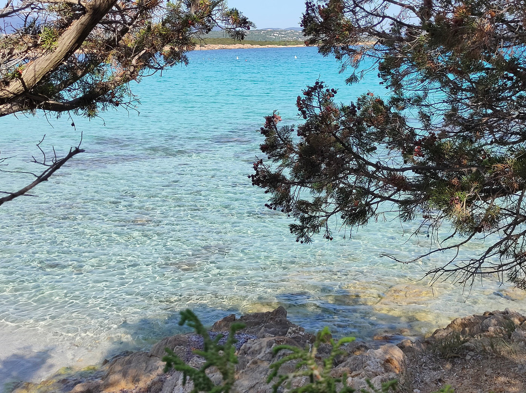 Spiaggia di Cala Sabina-Golfo Aranci必去景点