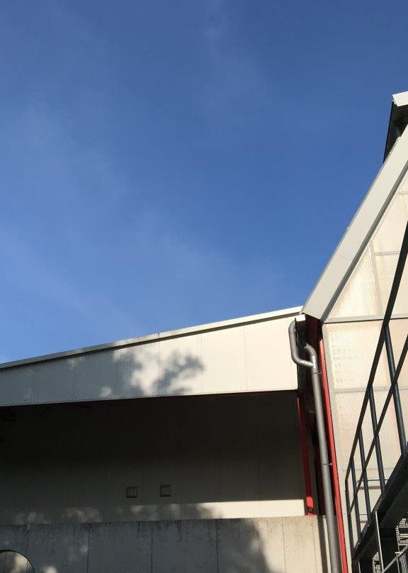 Kunsteisstadion Crimmitschau im Sahnpark景点图片