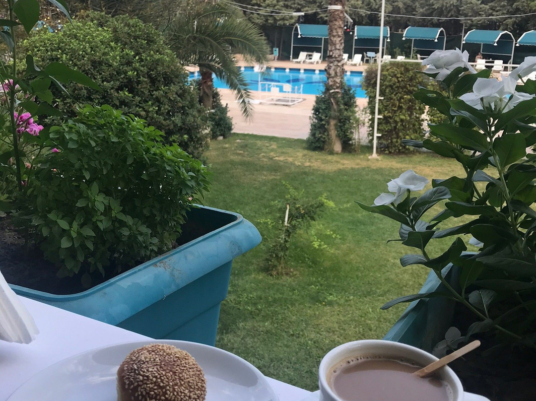 Buyuk Saruhan Hotel主图