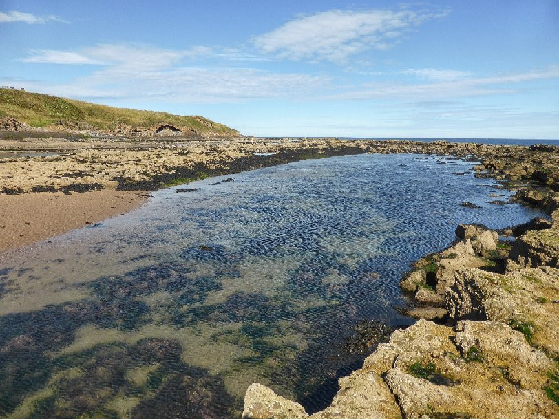 Cocklawburn Beach-特威德河畔贝里克必去景点