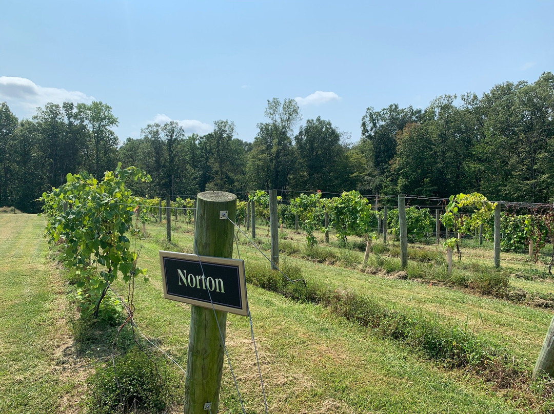 Butler Winery-布卢明顿必去景点