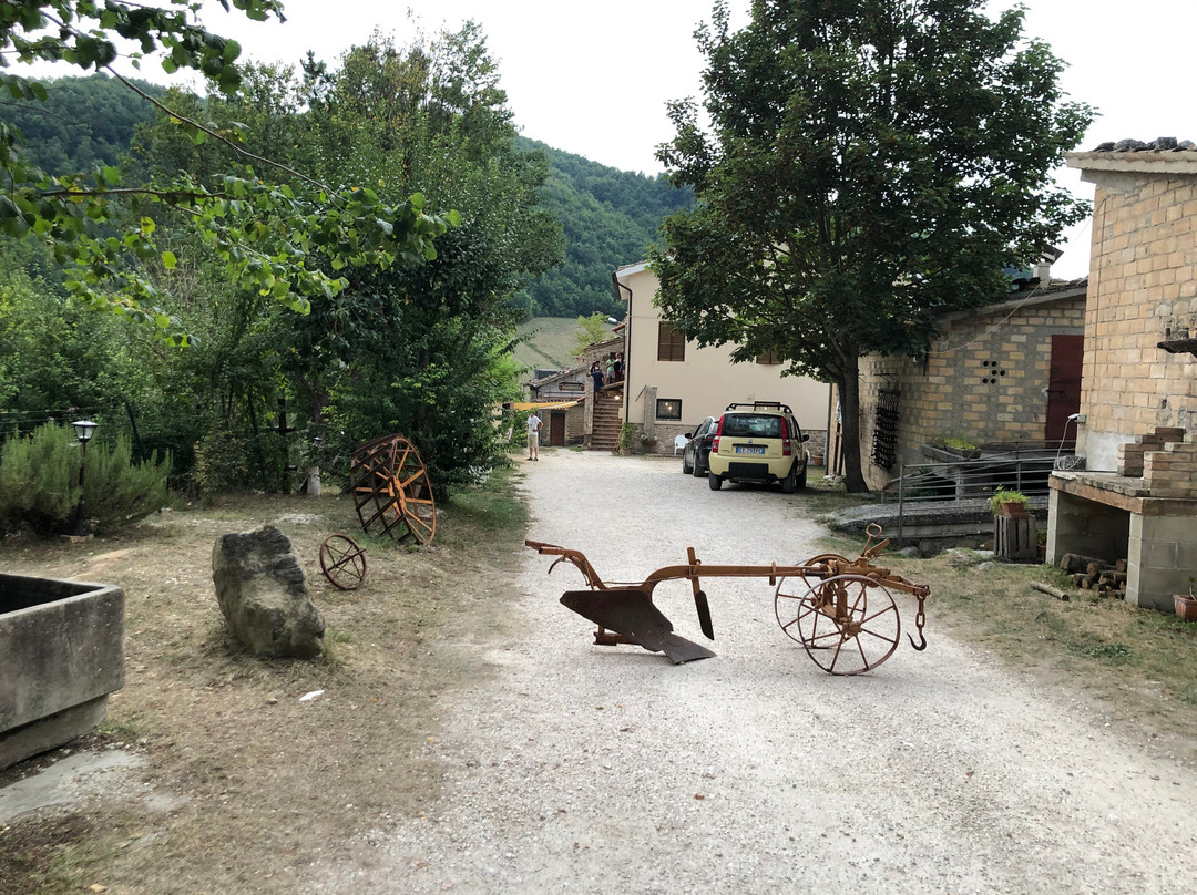 Agriturismo Il Borghetto