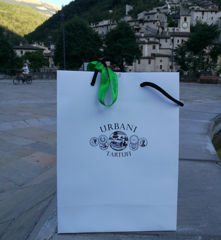 Museo del Tartufo Urbani景点图片