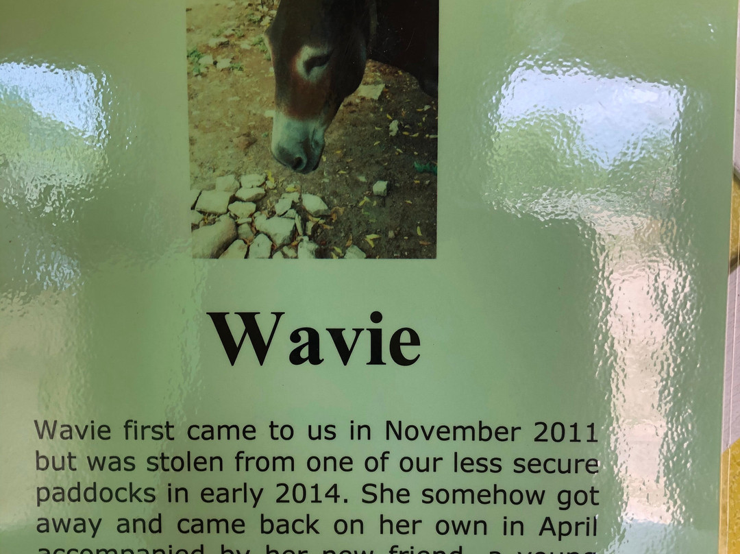 Antigua & Barbuda Humane Society-Saint Paul Parish必去景点