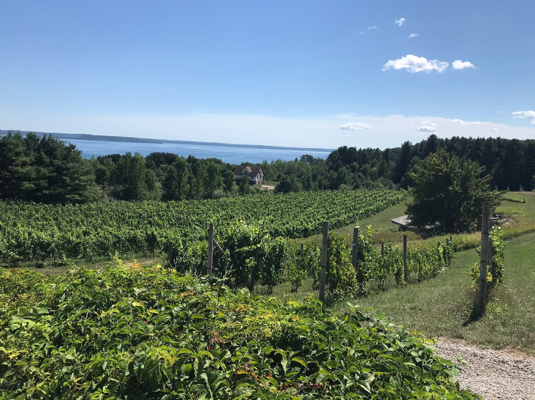 Willow Winery & Vineyard景点图片