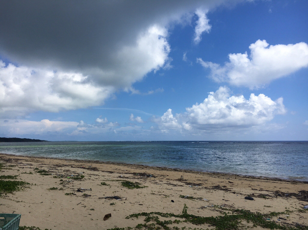 Haemida Beach景点图片