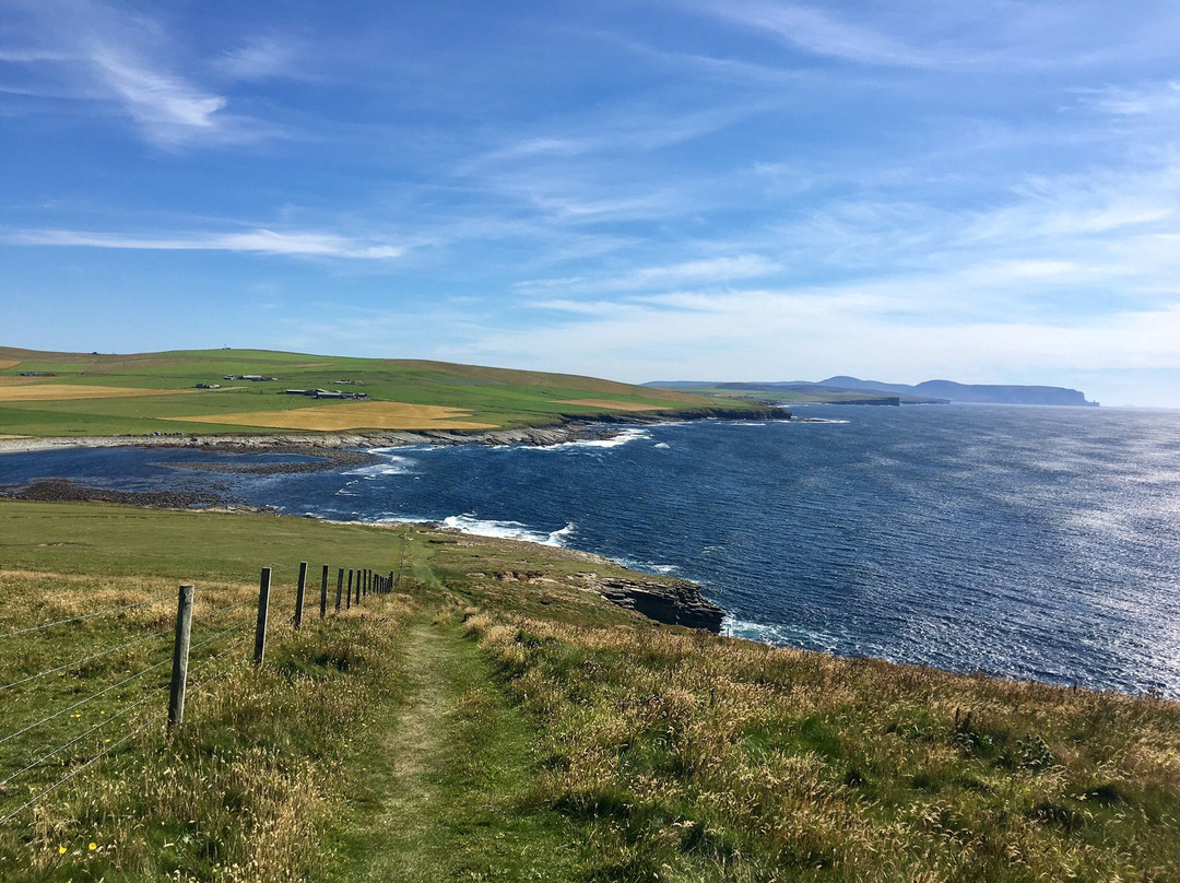Marwick Head RSPB Nature Reserve-梅恩兰岛必去景点