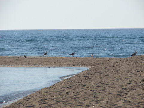 Kumburnu Beach-Ezine必去景点
