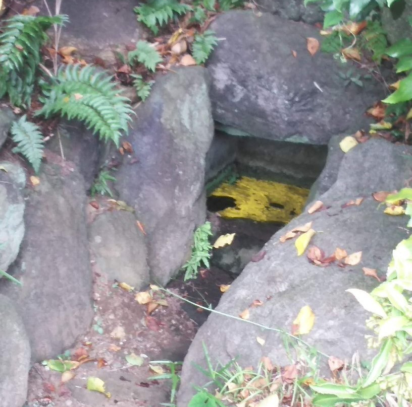 Saneatsu Park-调布市必去景点