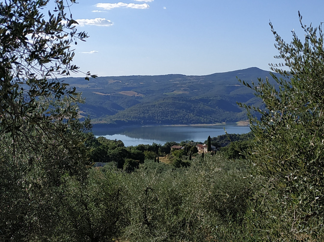 Il Casanova Agriturismo主图