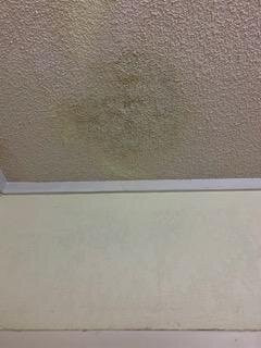 Myrtle Beach Resort主图