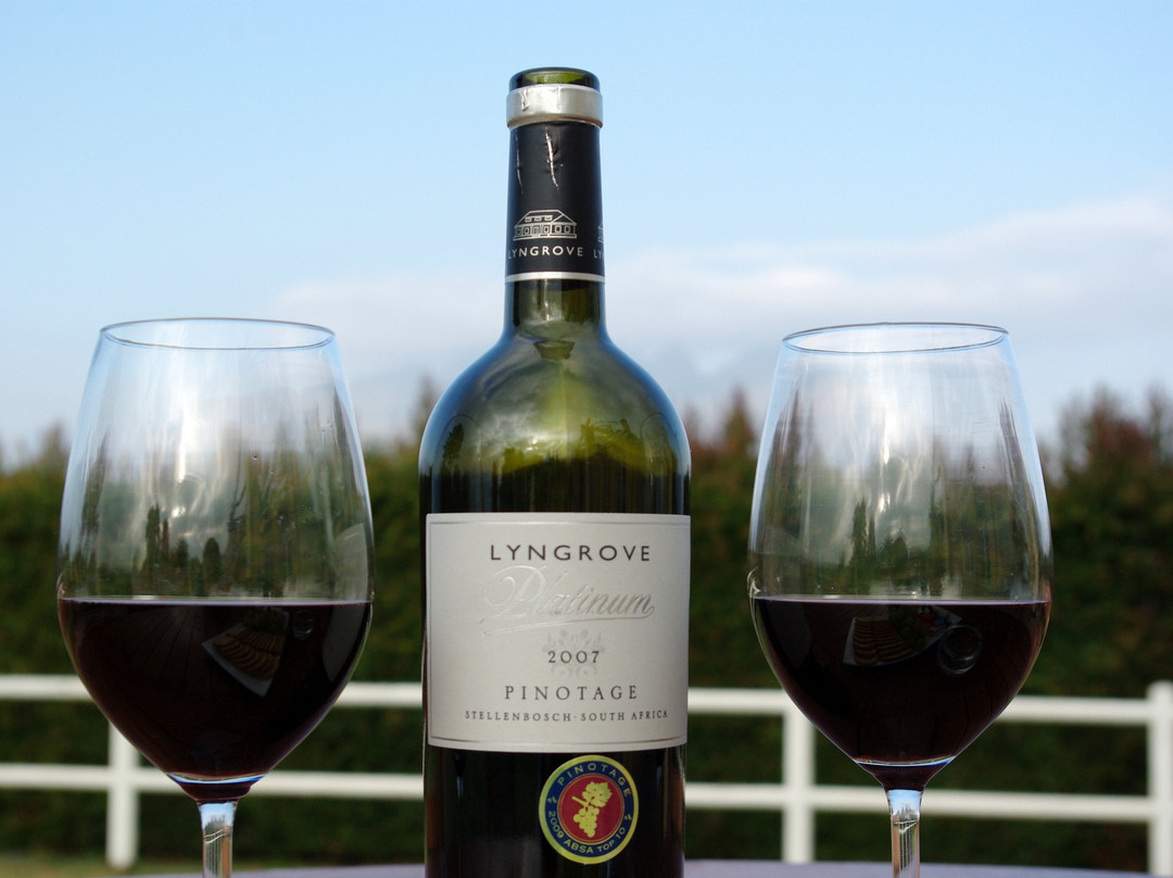 Lyngrove Wines and Guesthouse主图