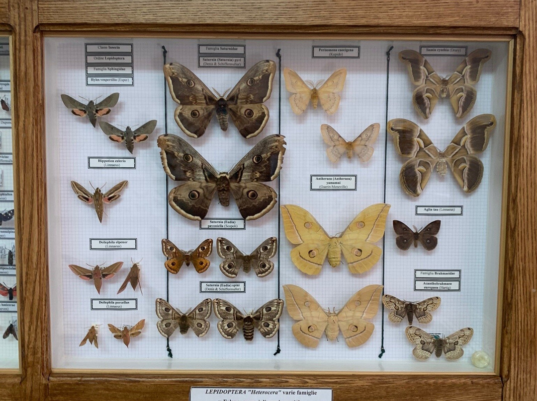 Museo Della Biodiversita景点图片
