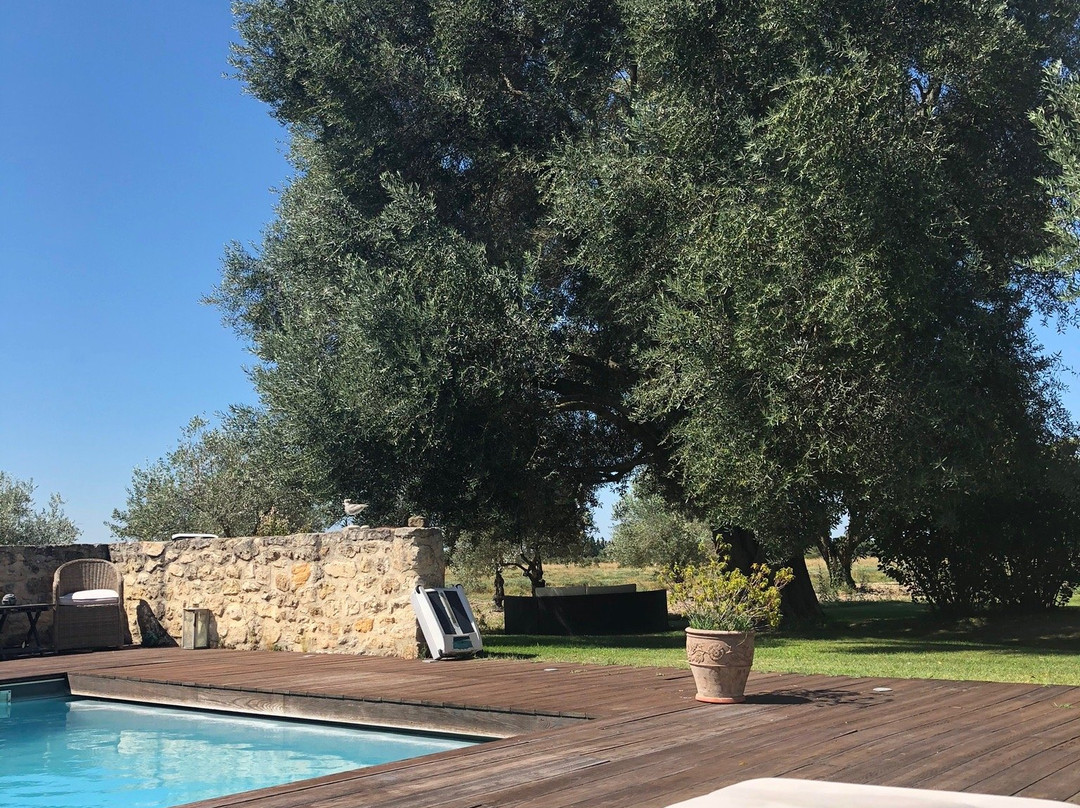 Les Champs de Provence主图