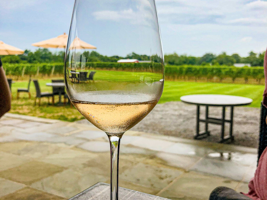 Sparkling Pointe Vineyards & Winery景点图片