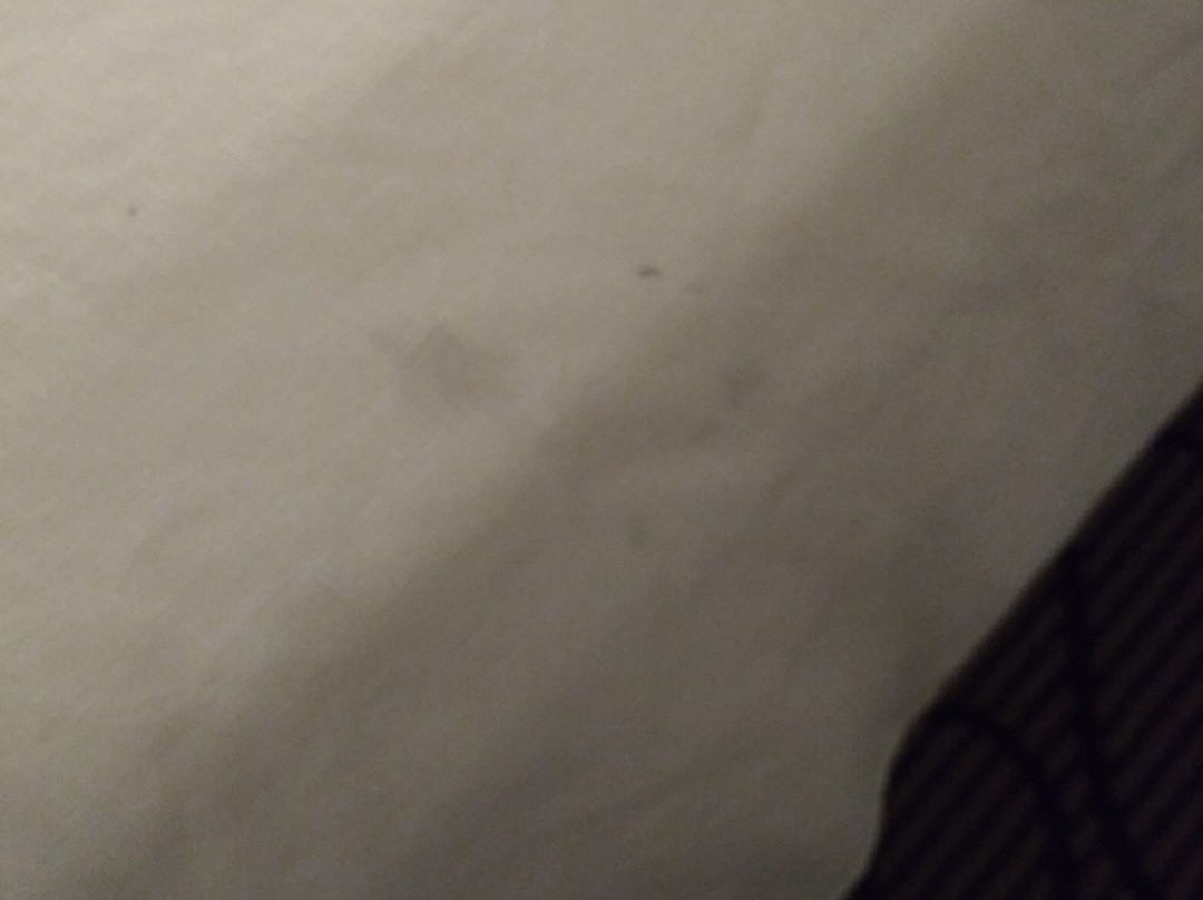 梅德福费尔菲尔德客栈&套房酒店主图