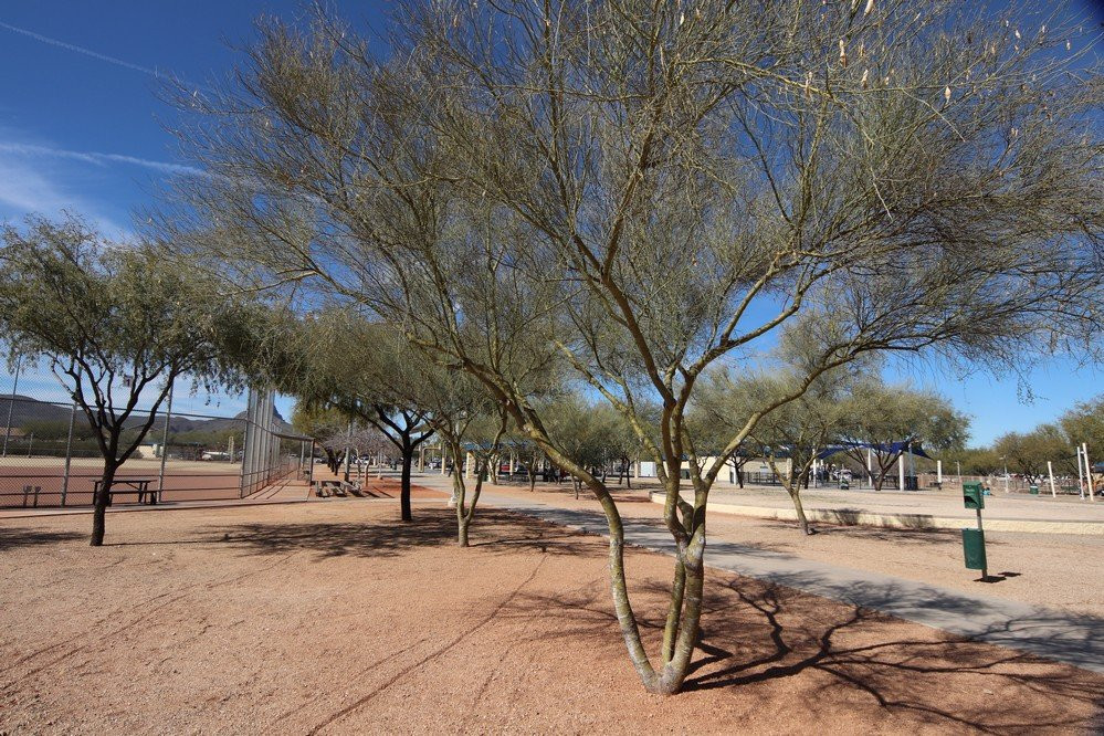 Crossroads at Silverbell District Park-图森必去景点