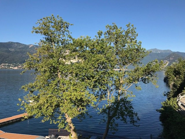 Hotel Beata Giovannina主图