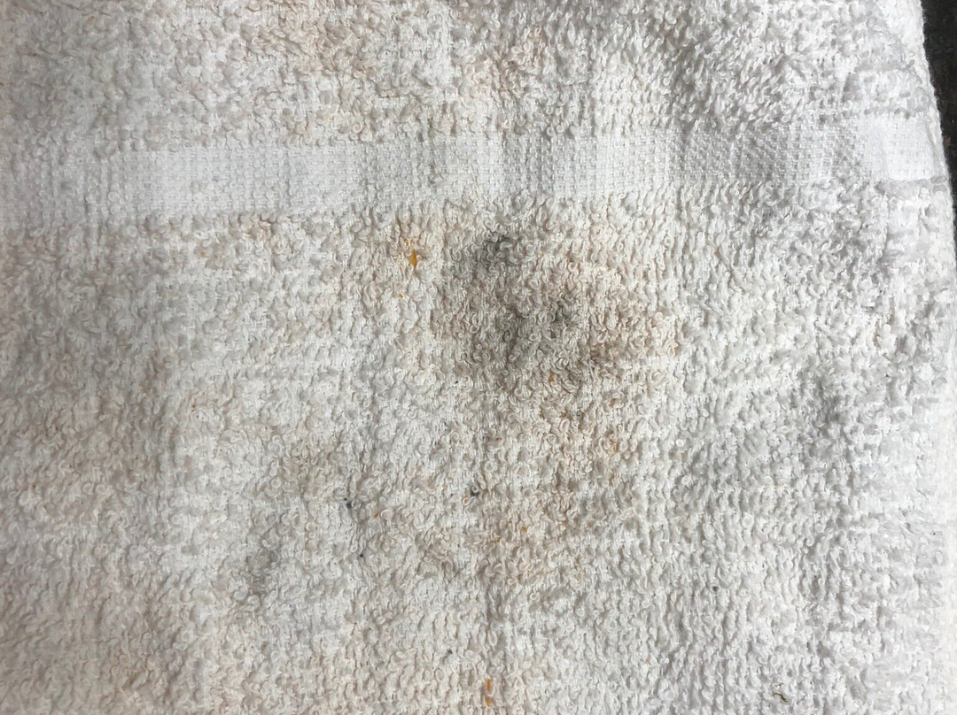 Super 8 by Wyndham Monteagle TN主图