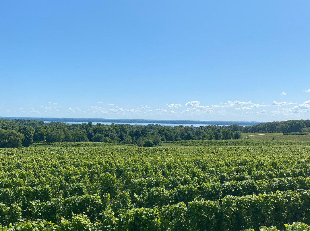 Traverse City Tours景点图片